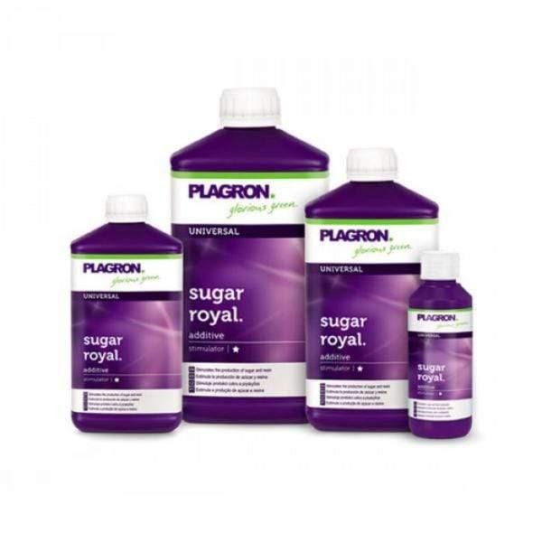Plagron Sugar Royal - 100ml