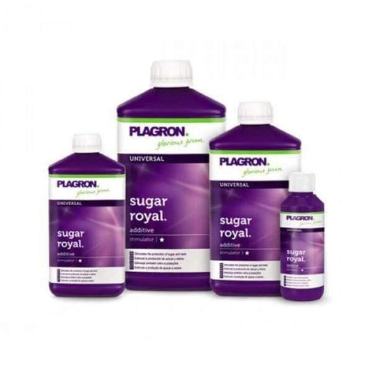 Plagron Sugar Royal - 100ml