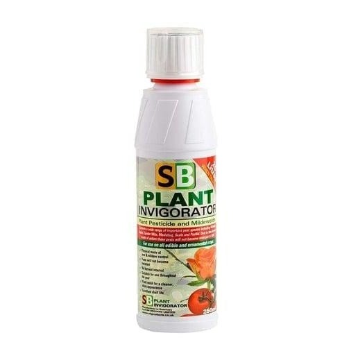 SB Invigorator - 250ml Concentrate