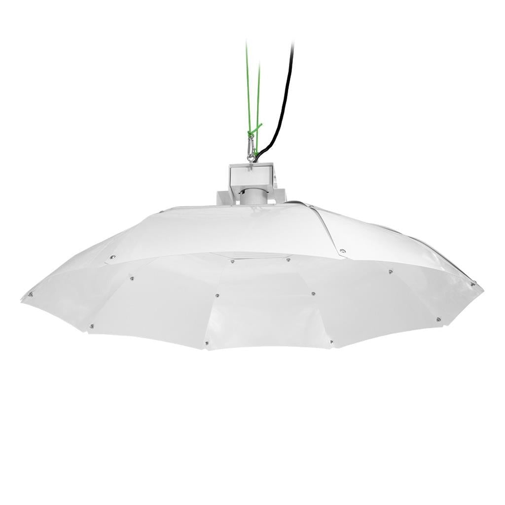 Sunking - Parabolic Reflector (Medium) - White