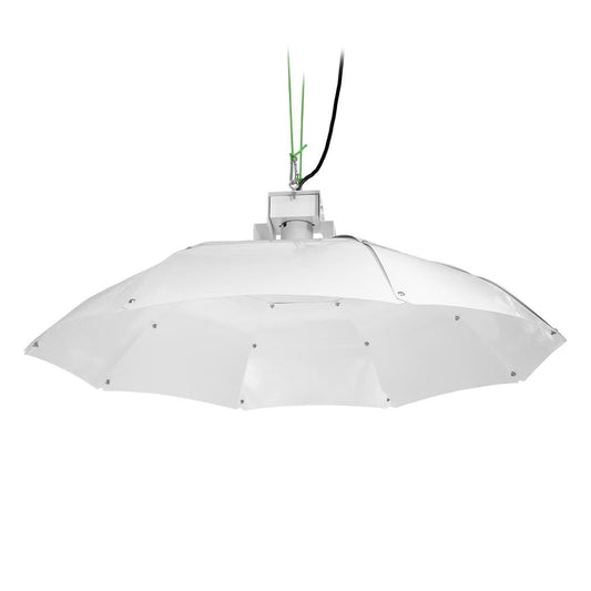 Sunking - Parabolic Reflector (Medium) - White