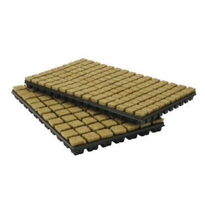 Tray of Rockwool Propagation Cubes - LARGE (77cubes)