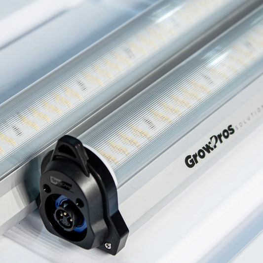 par lite under canopy lights