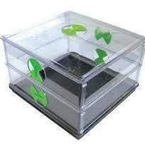 Vitopod Small Propagator - 50w Heated - Two Layer