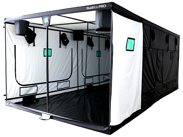 Budbox Pro 6.0m x 3.0 x 2.2 T6 White