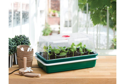 Garland One Top Electric Propagator