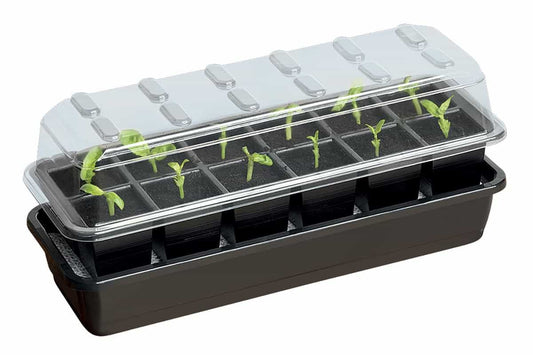 Ga Ulti12 Cel Se Wa Seed Sucs Kit